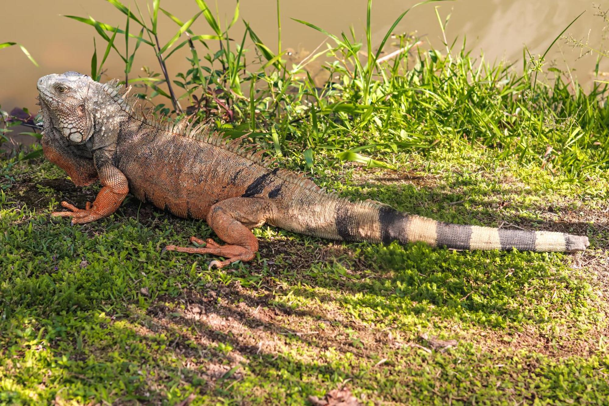 Los Colores Ecoparque Doradal المظهر الخارجي الصورة