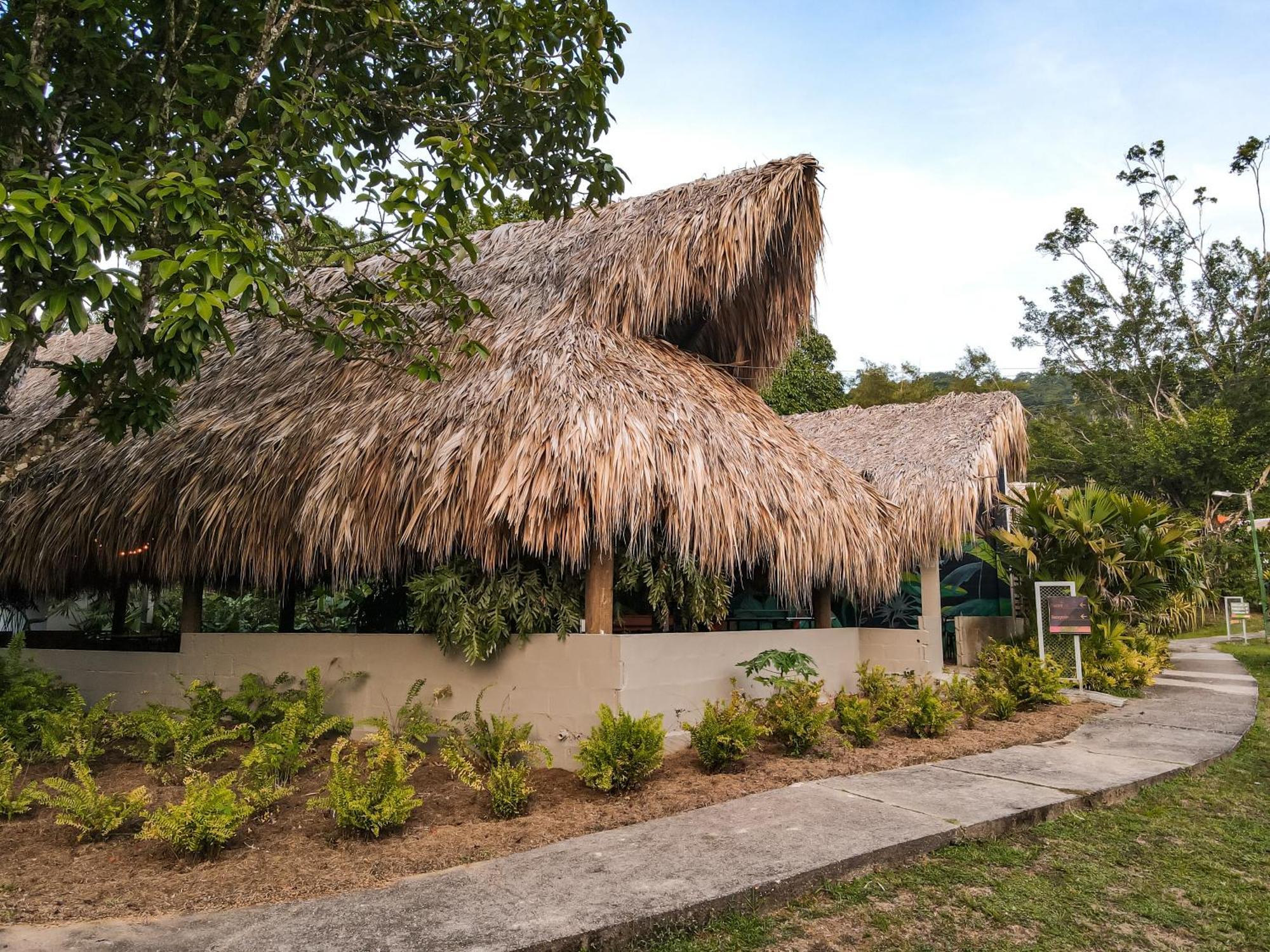 Los Colores Ecoparque Doradal المظهر الخارجي الصورة